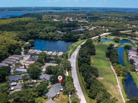 A home in PALM HARBOR