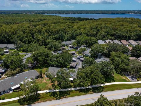 A home in PALM HARBOR