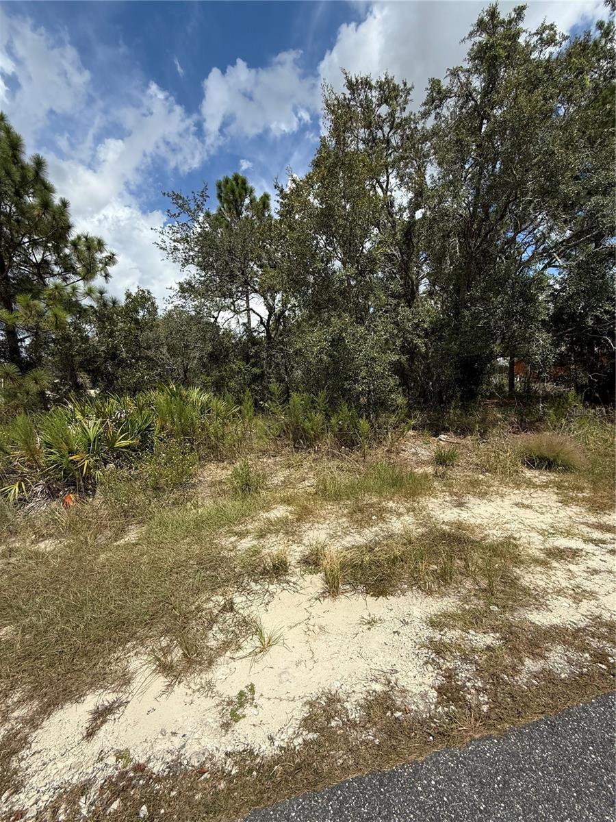 Discover the perfect opportunity to build your dream home on this spacious vacant lot located in Brooksville, FL. Nestled in a desirable residential area, this property offers both privacy and convenience. With ample space to design a custom home and outdoor living areas, the lot provides endless possibilities for your vision. Situated in a peaceful community, yet just minutes from shopping, dining, medical facilities, and recreational opportunities, this location gives you the best of both worlds—quiet living with easy access to everyday amenities. Brooksville’s natural beauty and small-town charm make this an excellent choice for those seeking a relaxing lifestyle without sacrificing convenience. Whether you’re looking to build now or invest for the future, this property offers great potential. Don’t miss your chance to secure a piece of land in this sought-after area!