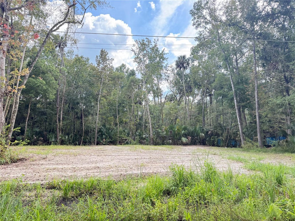 Photo of 24038 Bass Road, Astor, FL 32102 (MLS # V4951768)
