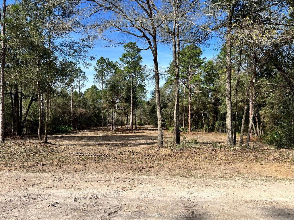 Photo of 103 SW 60th Lane Road, Ocala, FL 34481 (MLS # OM710850)