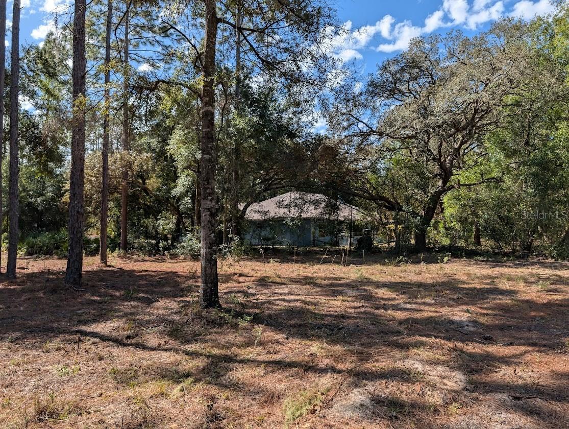 ROLLING HILLS - Land