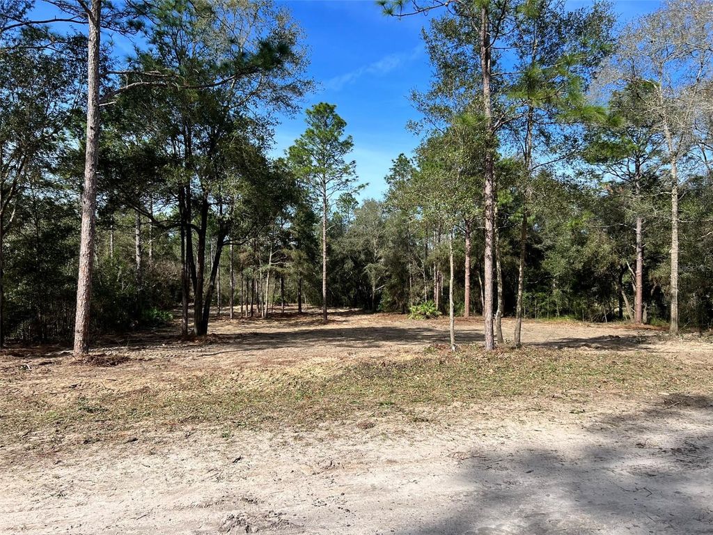 Photo of 103 SW 60th Lane Road, Ocala, FL 34481 (MLS # OM710850)