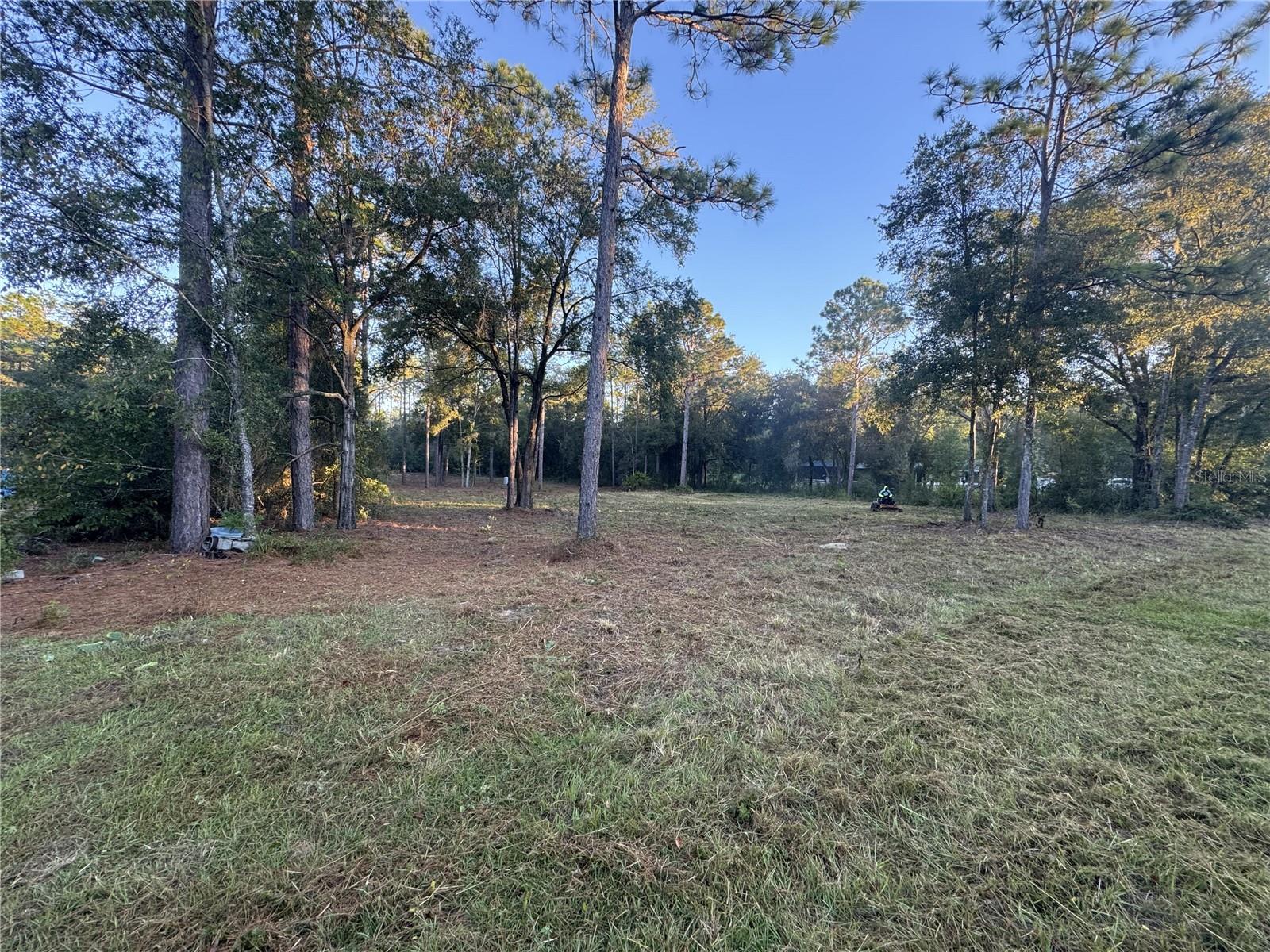 ROLLING HILLS - Land