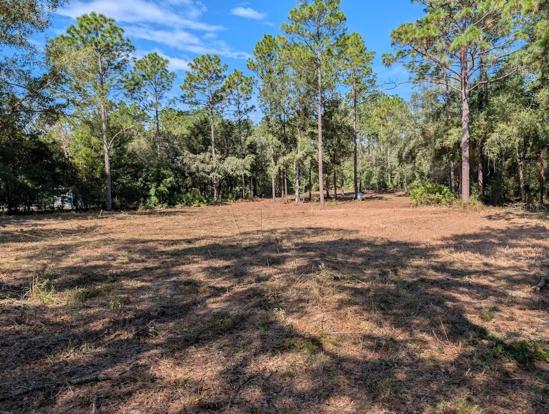 ROLLING HILLS - Land