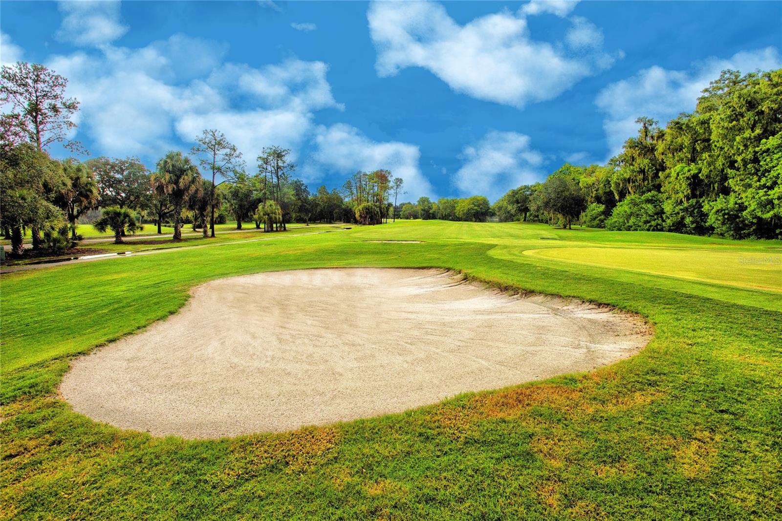 EAST LAKE WOODLANDS CYPRESS ESTATES - Residential Lease