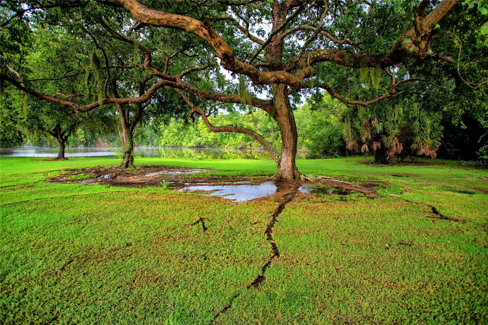 EAST LAKE WOODLANDS CYPRESS ESTATES - Residential Lease