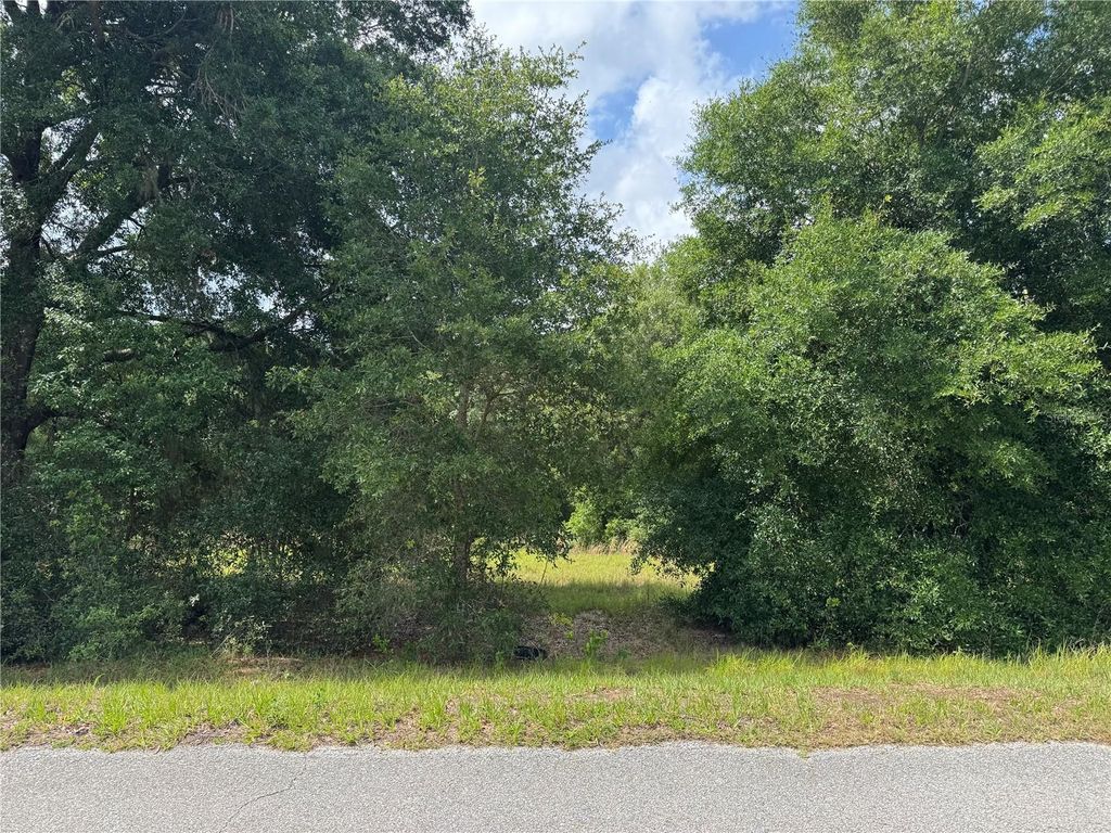 Photo of Tbd Keene Road, Altoona, FL 32702 (MLS # G5112552)