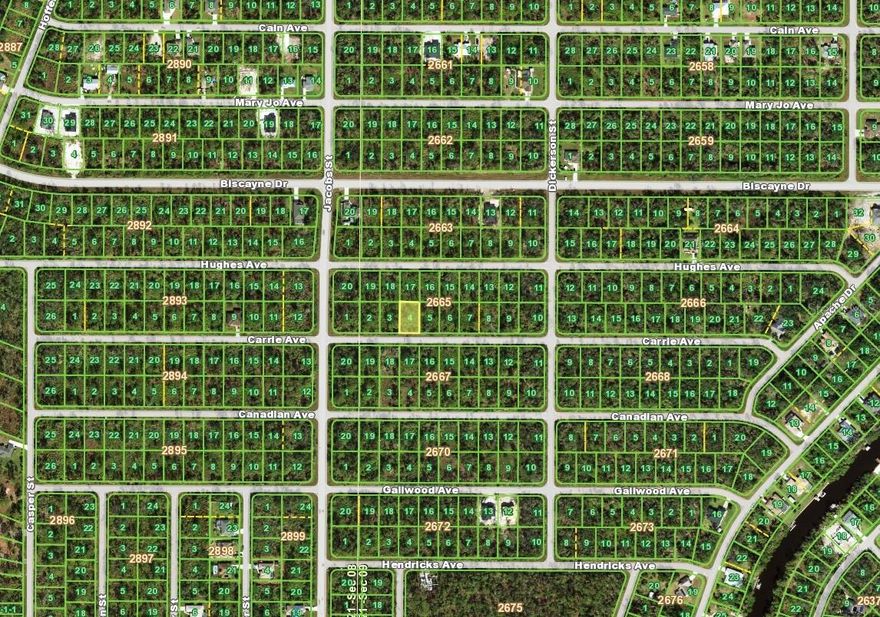 This .23-acre lot provides the ideal space to build your next home in a steadily developing area of Port Charlotte. With room for a single-family residence and outdoor living features, the property offers flexibility for your plans.

Conveniently located near shopping, dining, medical services, and local recreation, the lot also offers quick access to US-41 and I-75 for easy travel throughout the region.

Whether you’re preparing to build now or holding land for the future, this property represents a solid opportunity in Southwest Florida.