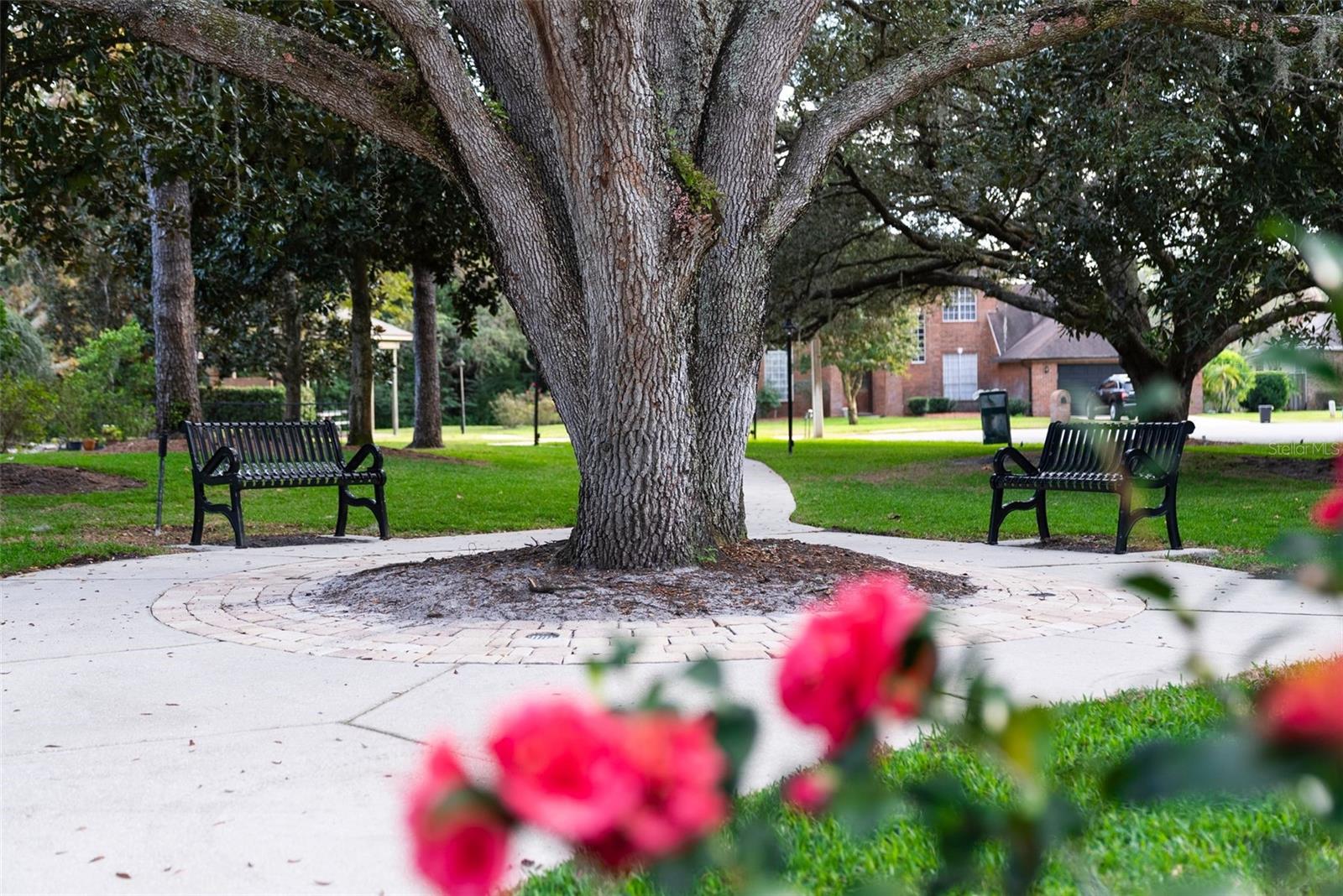 LAKES OF ALOMA - Residential