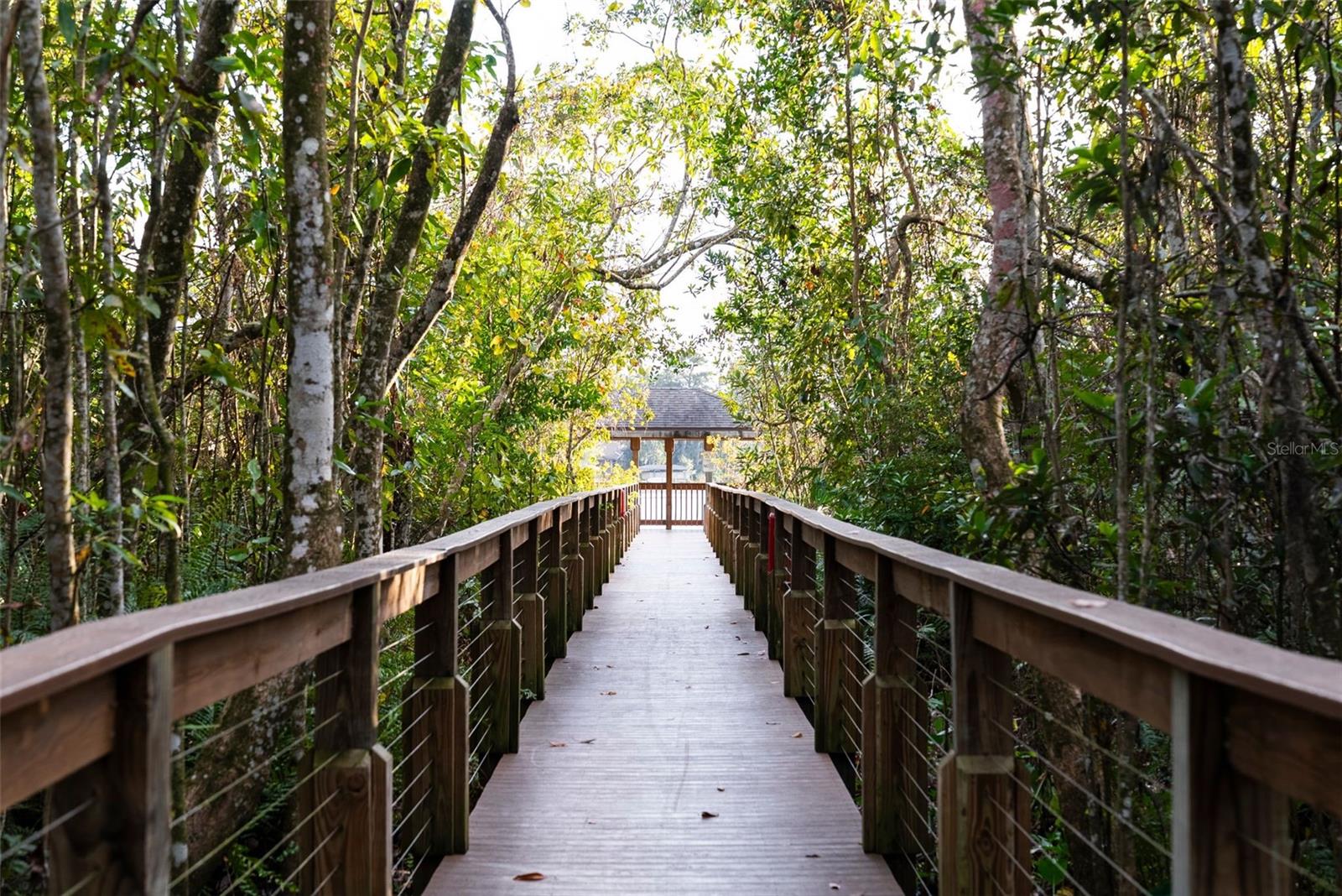 LAKES OF ALOMA - Residential