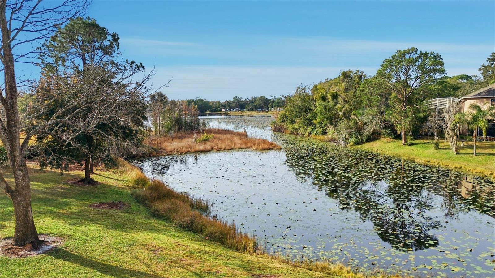 LAKES OF ALOMA - Residential