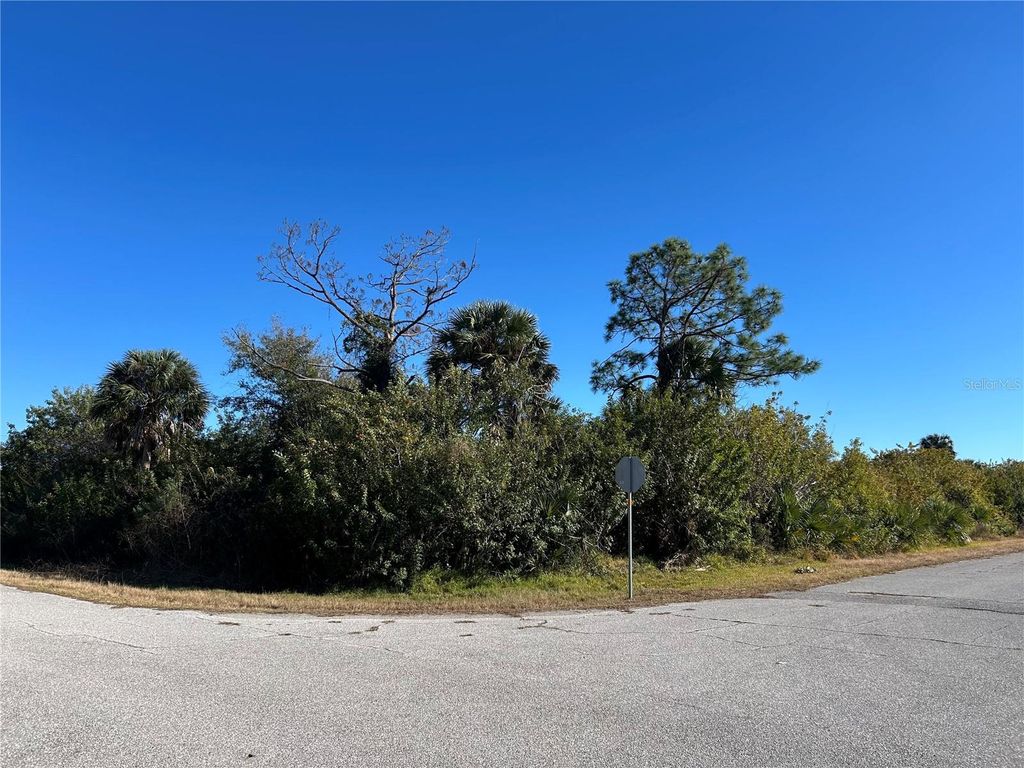 Photo of 12145 Surrey Ave, Port Charlotte, FL 33981 (MLS # C7521685)