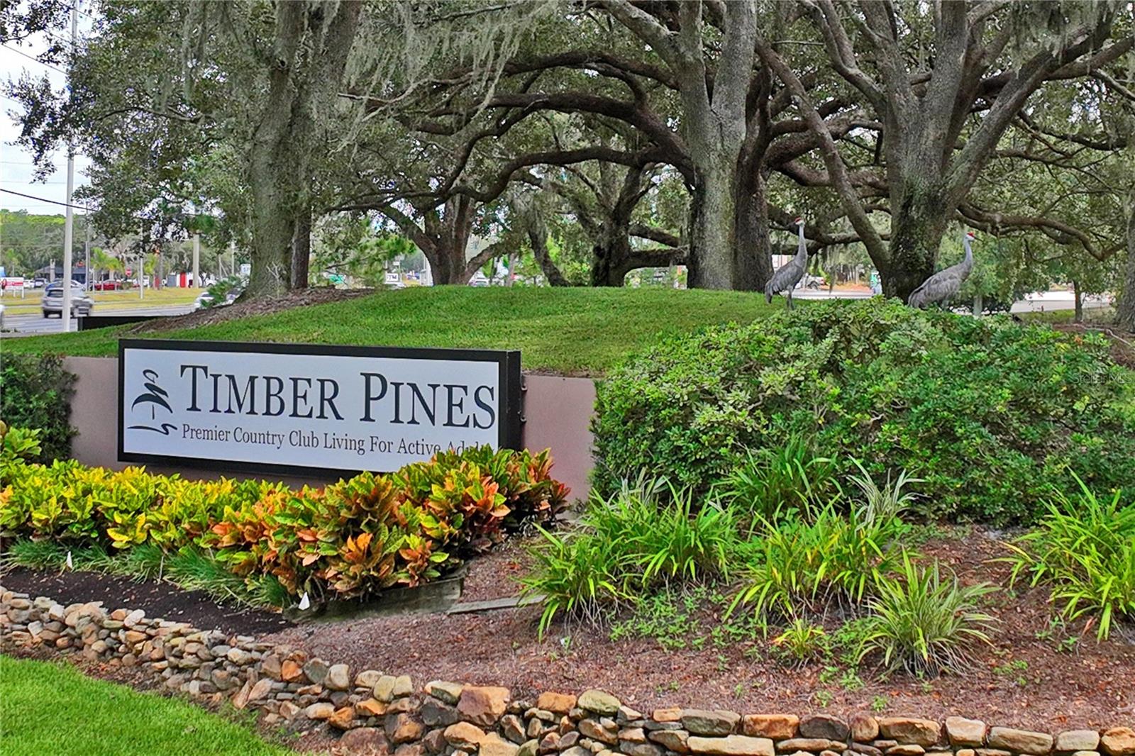 TIMBER PINES - Residential