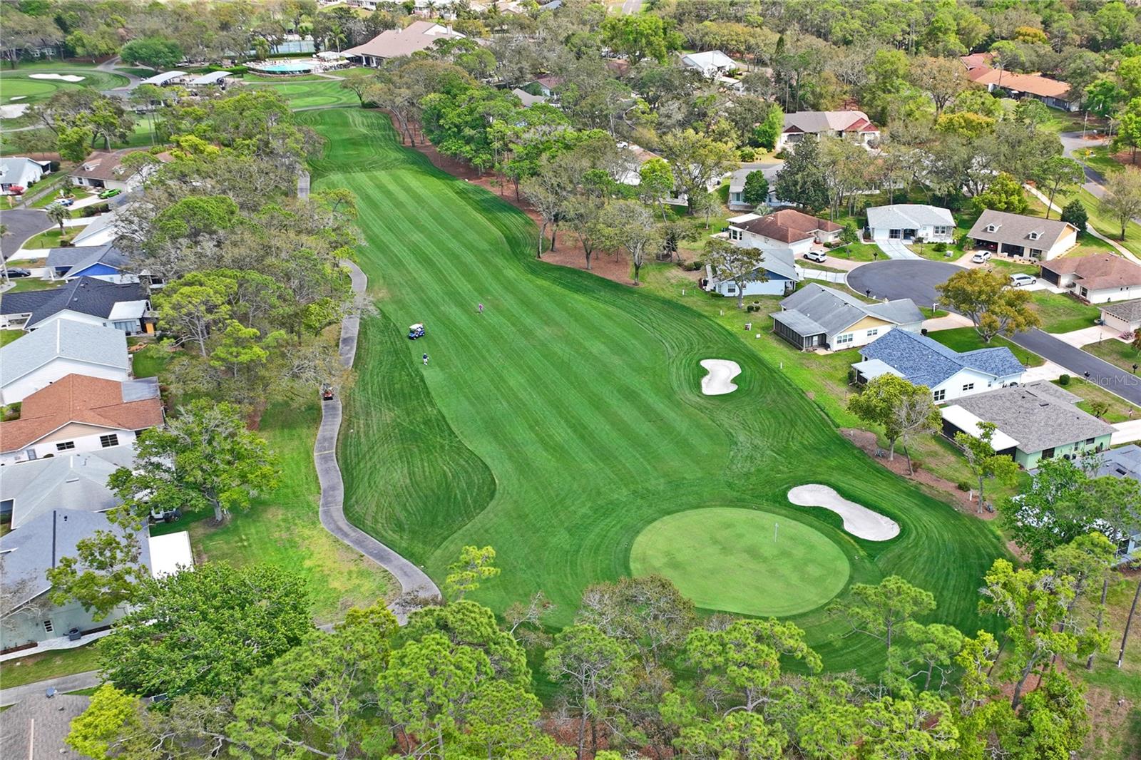 TIMBER PINES - Residential