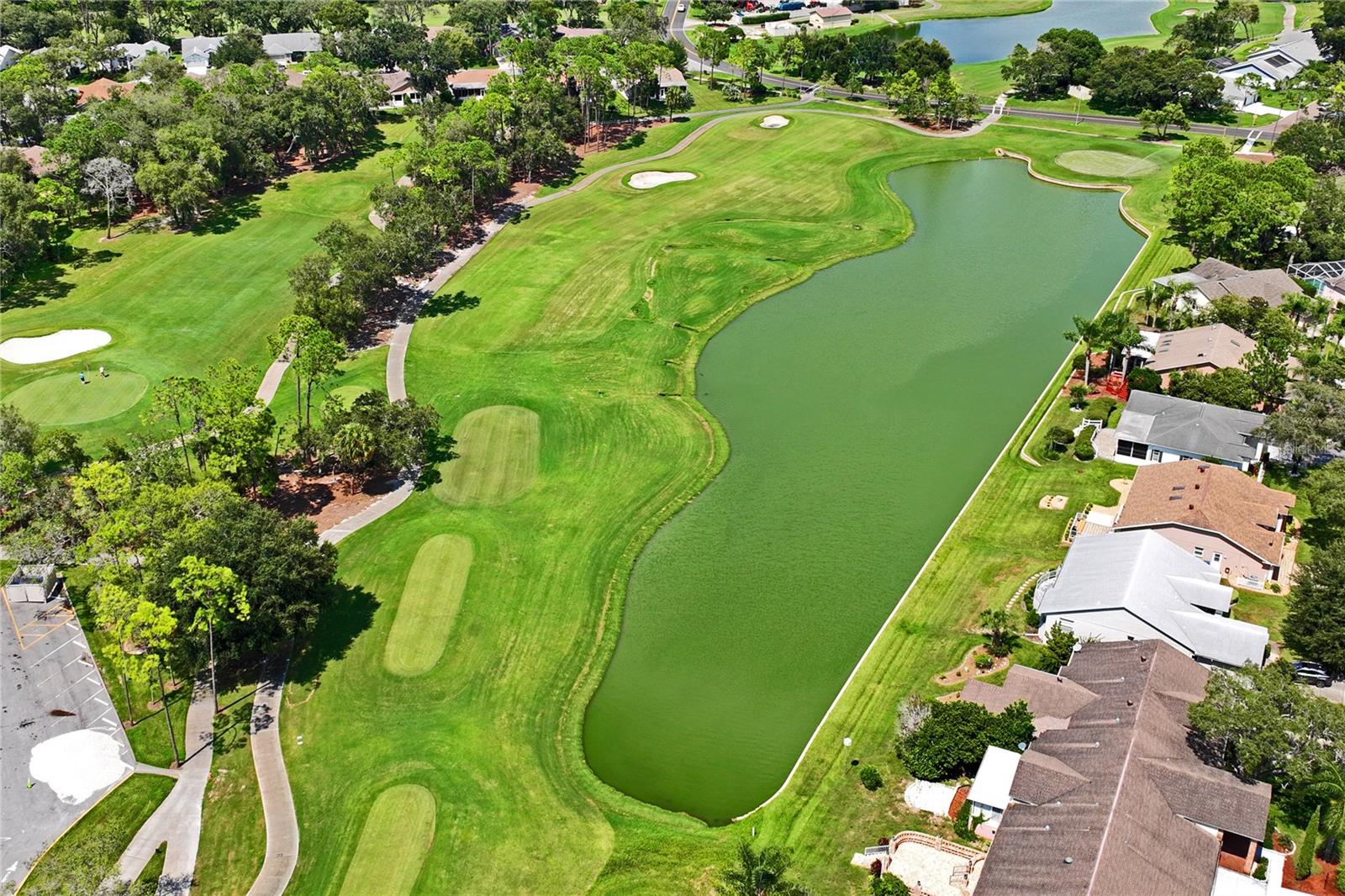 TIMBER PINES - Residential