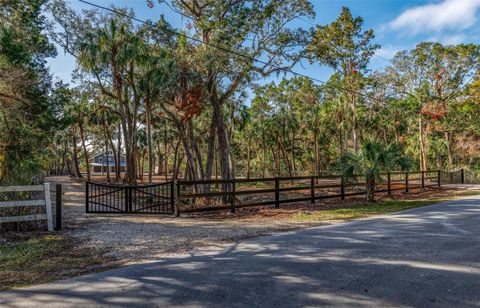 A home in HOMOSASSA