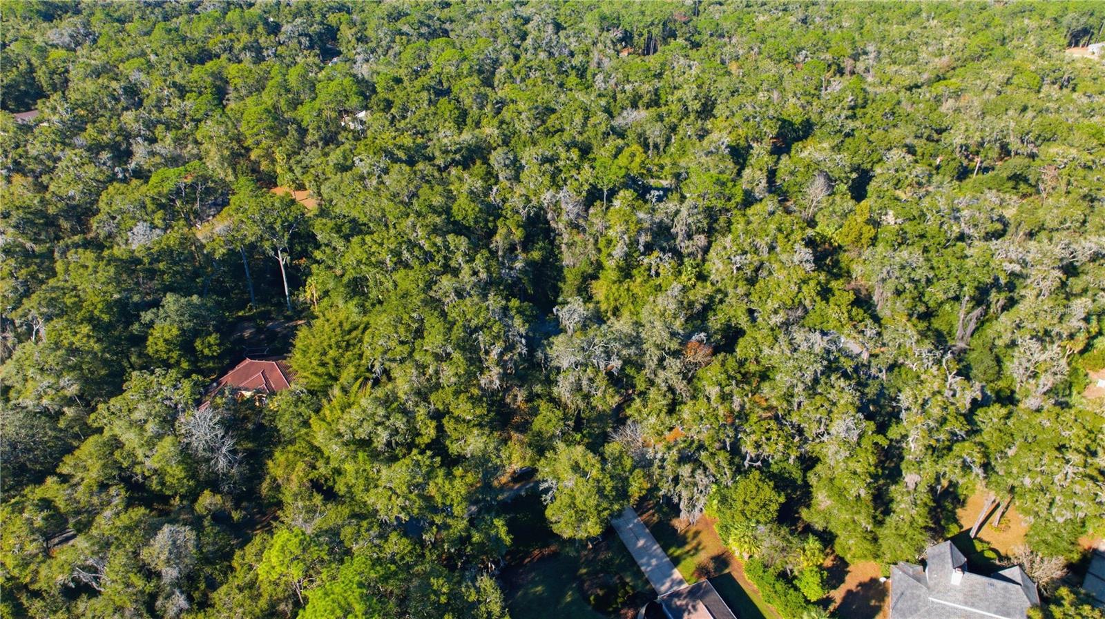 RAINBOW SPGS - Residential