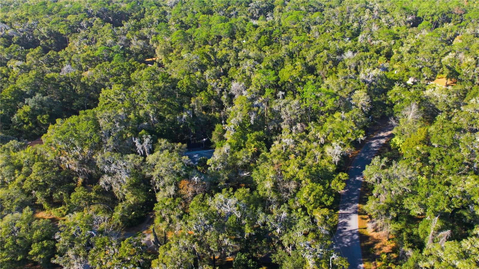 RAINBOW SPGS - Residential