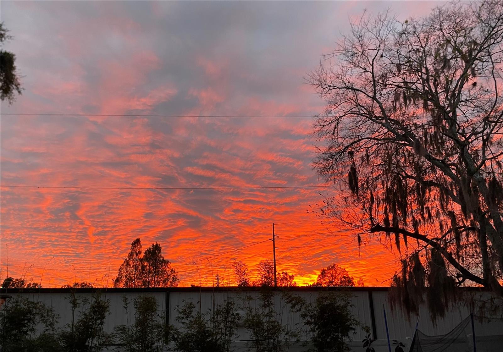 LONGWOOD NORTH - Residential