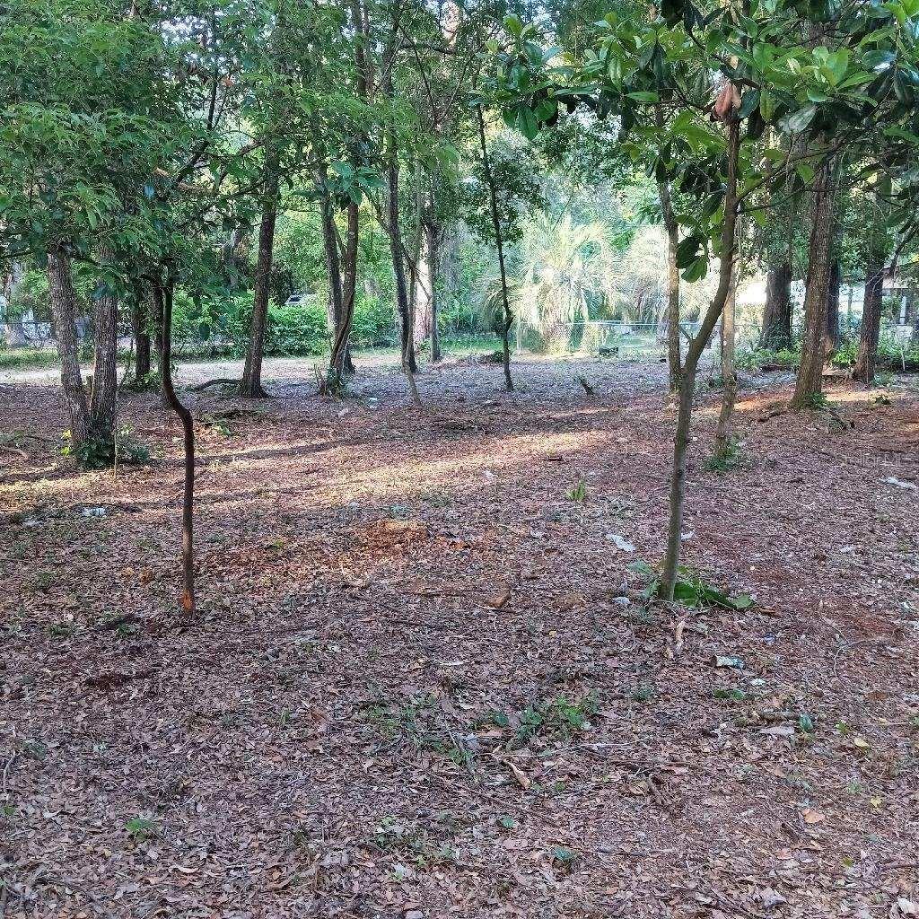 Looking for HIGH AND DRY, BUILDABLE AND AFFORDABLE LAND?? HERE IT IS!!! This MOBILE HOME LOT is the perfect location to build your home away from home! Easy access to HWY 42 which gets you to Ocala, The Villages and Silver Springs and other areas in Marion County. Land has been cleared left with the nice trees. Don't miss out on this opportunity!