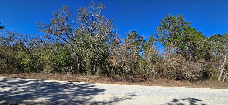 Amazing opportunity! Build your dream home on this .49-acre corner lot and have all the benefits of country living while being only minutes from the heart of Spring Hill and Brooksville. PERFECT LOCATION and it’s surrounded by very nice newer homes. NO HOA and NO CDD. Lots of shopping and favorite local dining options nearby. Minutes from the famous Weeki Wachee live mermaids, Pine Island Park and Roger’s Park for fun on the water. Close to the Suncoast parkway for quick access to the airport, Tampa, Clearwater and St. Pete Beaches (Ranked in the top 5 Beaches in the US), also close to the famous Tarpon Springs Sponge Docks. Enjoy everything Tampa Bay has to offer from the new Downtown Riverwalk, TOP US BEACHES, boating, fishing, golfing, cultural entertainment, and museums...and of course beautiful year-round weather!