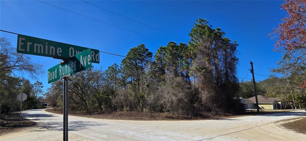 Photo of 13231 Road Runner Avenue, Weeki Wachee, FL 34614 (MLS # W7882487)