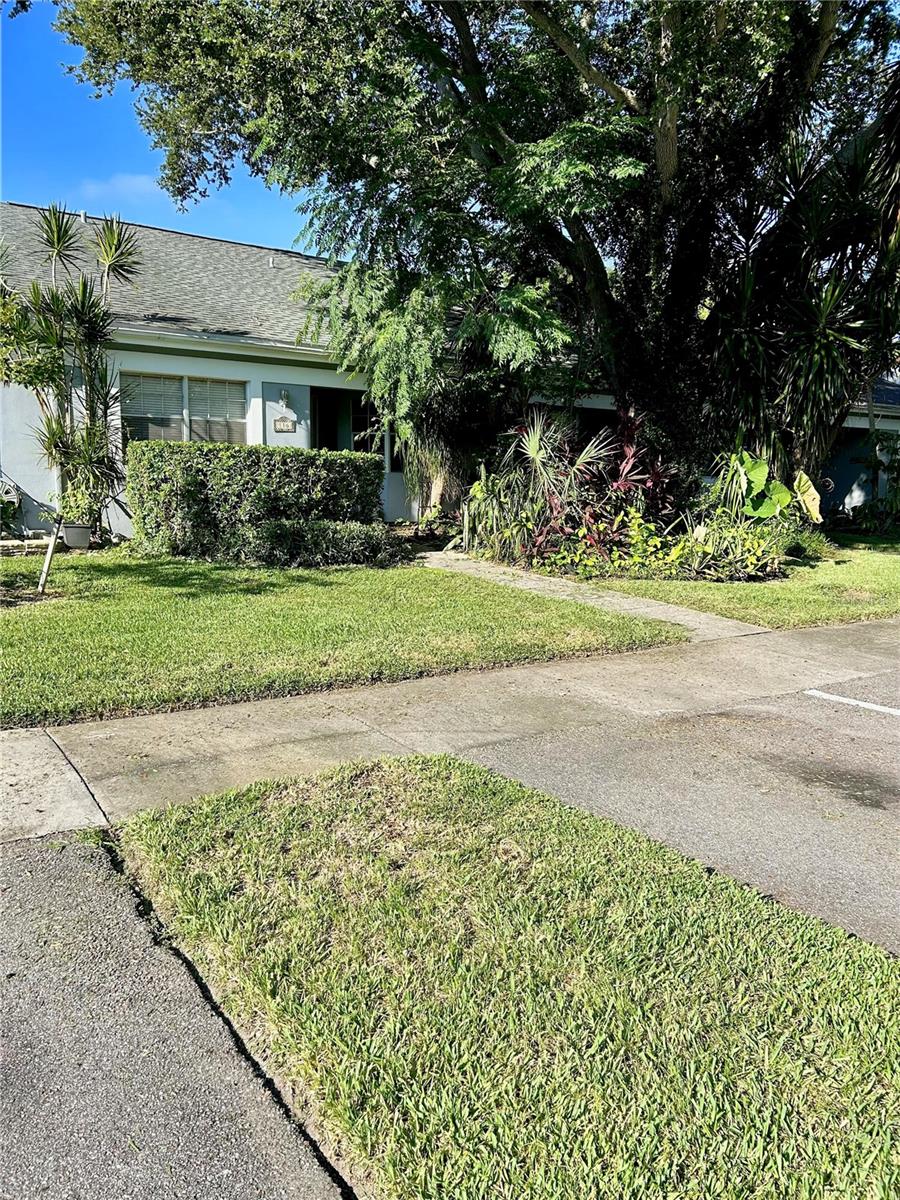 Rehab opportunity in sought-after Bay Towne West! This property needs a kitchen install and additional rehab work. You own the property (not a condo), with 2 parking spaces directly in front. Monthly HOA is $175 and includes pool & spa, exterior paint, lawn care, and cable TV. Just 1 mile from downtown Safety Harbor, a charming community on the shores of Old Tampa Bay. Enjoy unique shops, award-winning restaurants, a famous resort & spa, Farmer’s Market, art & music festivals, and the popular Third Friday events. Philippe Park is only blocks away with a boat ramp, picnic pavilions, trails, playgrounds, beach area, and more. Safety Harbor City Park (21 acres) features playgrounds, skate park, sand volleyball, baseball fields, and paddleboard access. Convenient location: just 16 miles to Tampa Airport and 12 miles to Clearwater Beach. Don’t miss the chance to own in one of Safety Harbor's most desirable communities! Investor, Rehab, Fixer Upper, Sweat Equity.