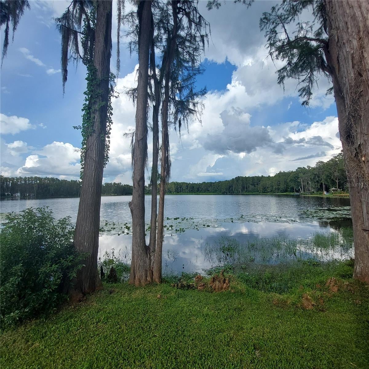 20182 COT ROAD 505
