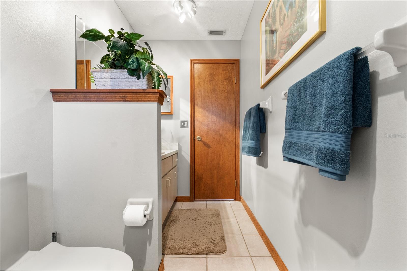 BELLEVIEW RIDGE ESTATE - Residential