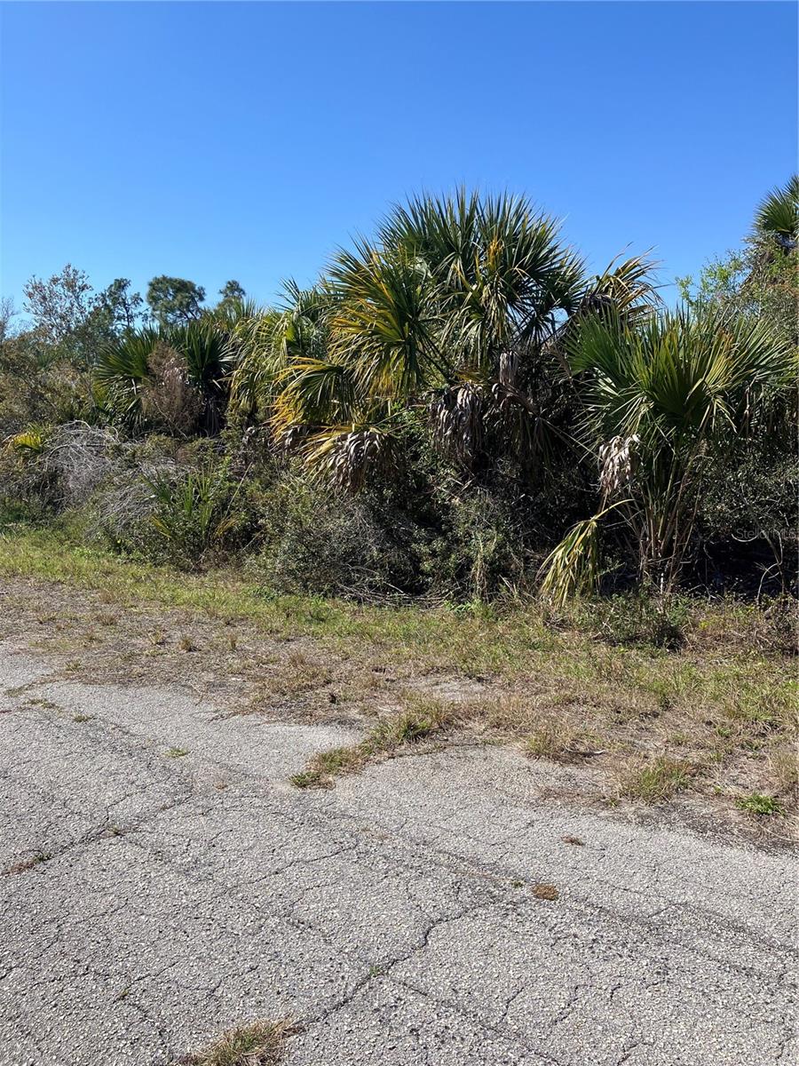 PORT CHARLOTTE SUB 47 - Land