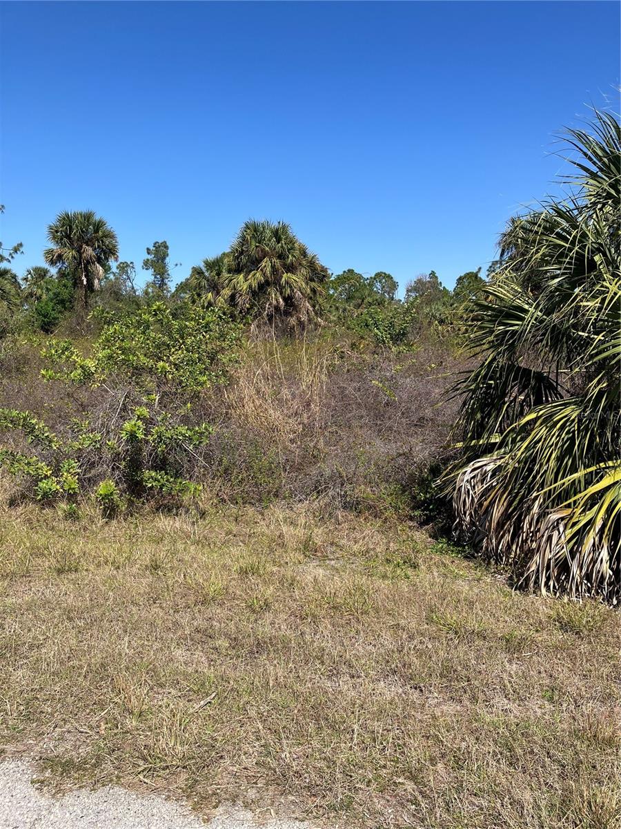 PORT CHARLOTTE SUB 47 - Land