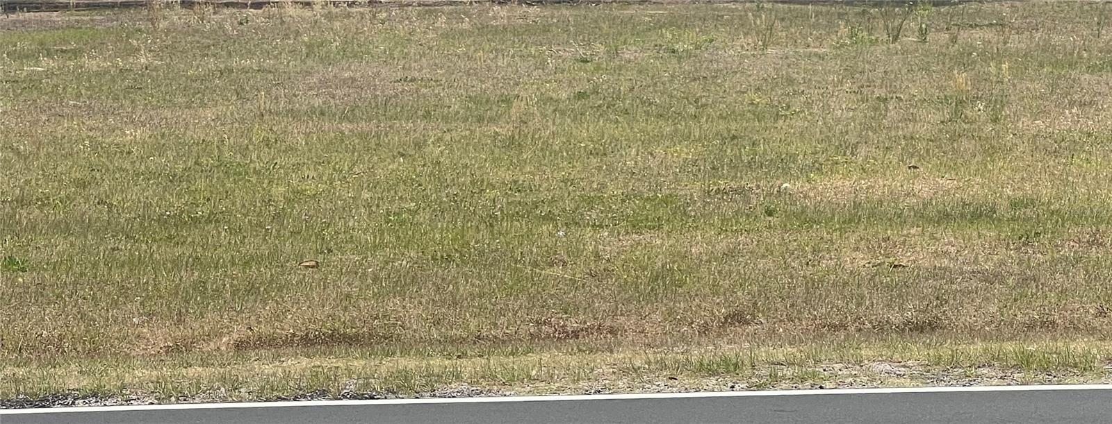 Discover the perfect opportunity to own a .31-acre vacant lot in a rapidly growing area of Marion County! Zoned R4, this property offers versatile residential development options—ideal for your future home or investment.
Located just minutes from Lake Weir, this lot combines natural beauty with convenience. Enjoy nearby access to medical offices, Market of Marion, local schools, and The Villages, one of Florida's most popular active adult communities.