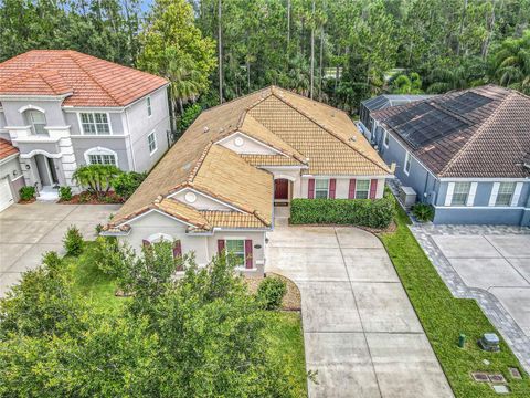 Photo of 3361 Pegaso Avenue, New Smyrna Beach, FL 32168 (MLS # NS1087472)