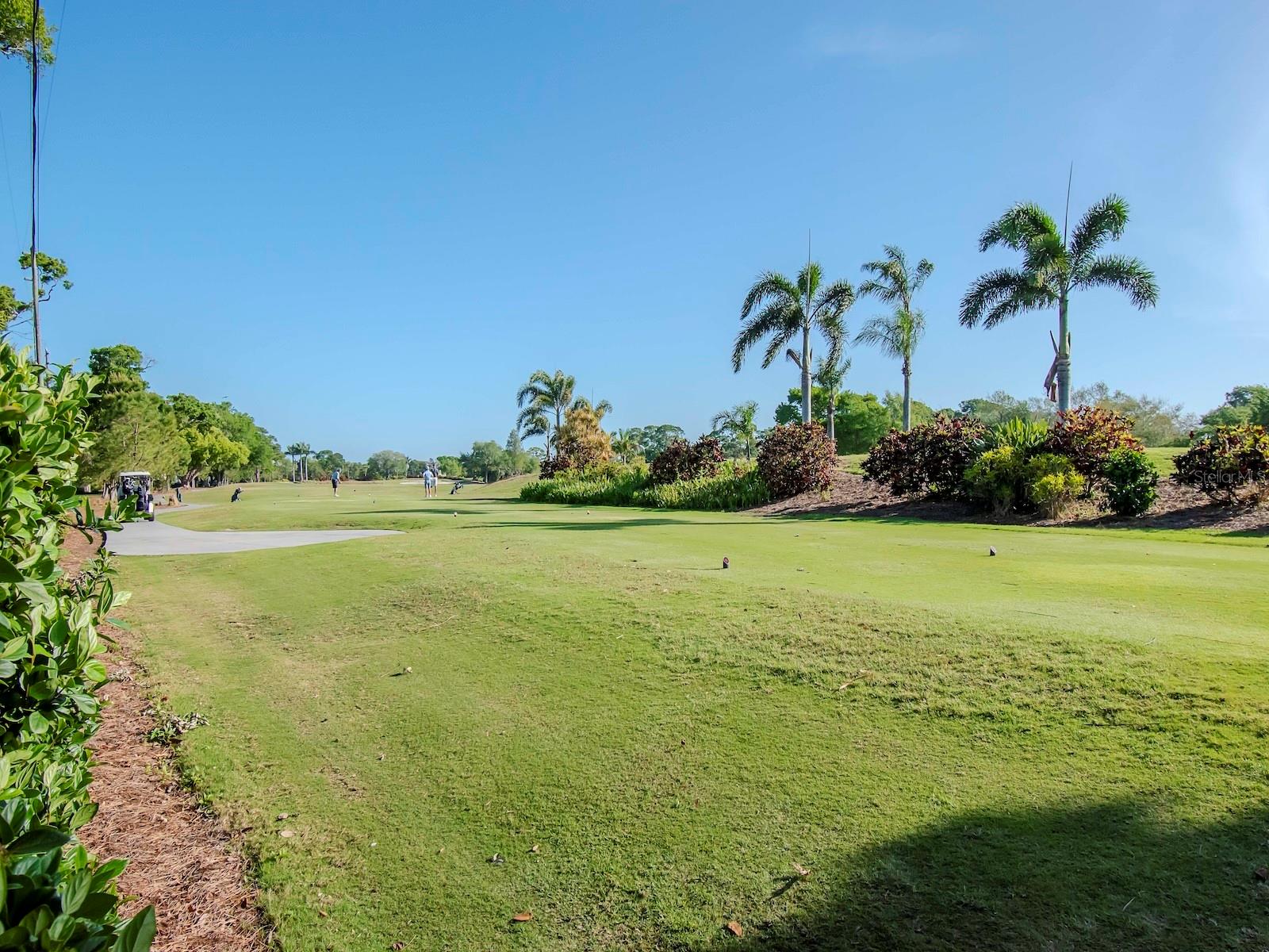 SNELL ISLE SHORES - Residential