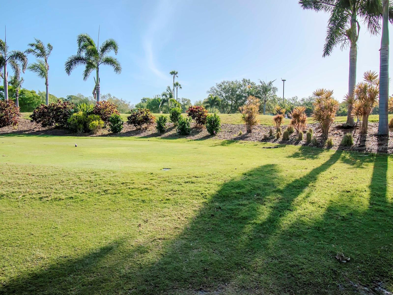 SNELL ISLE SHORES - Residential