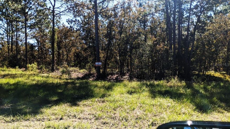 Priced to sell fast.  High and dry beautiful and quiet setting. Nestled in the rural suburbs of Rolling Hills, Ocala’s best kept secret in Marion County, this unique lot offers rare views of rolling hills and pastures. Surrounded by some of Ocala's Premier one of a kind equestrian estates. Minutes to the WEC (World Equestrian Center), Rainbow Springs, great locations for hiking, tubing, and kayaking. Build your dream home on this 1.38 Acre lot. No time frame to build. Low taxes. No HOA! Enjoy optimal privacy without sacrificing proximity to shopping, dining, entertainment and so much more.