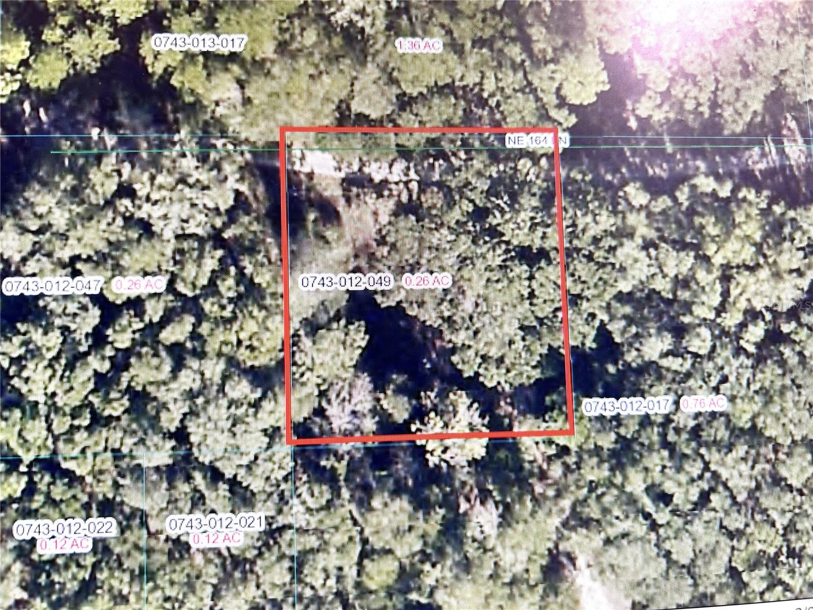 NO HOA! .28 ACRE OF TRANQUALITY! GREAT LOCATION BETWEEN OCALA AND GAINSEVILLE. PRICED TO SELL, DON'T MISS OUT ON THIS OPPORTUNITY TO OWN A PEICE OF PARADISE.