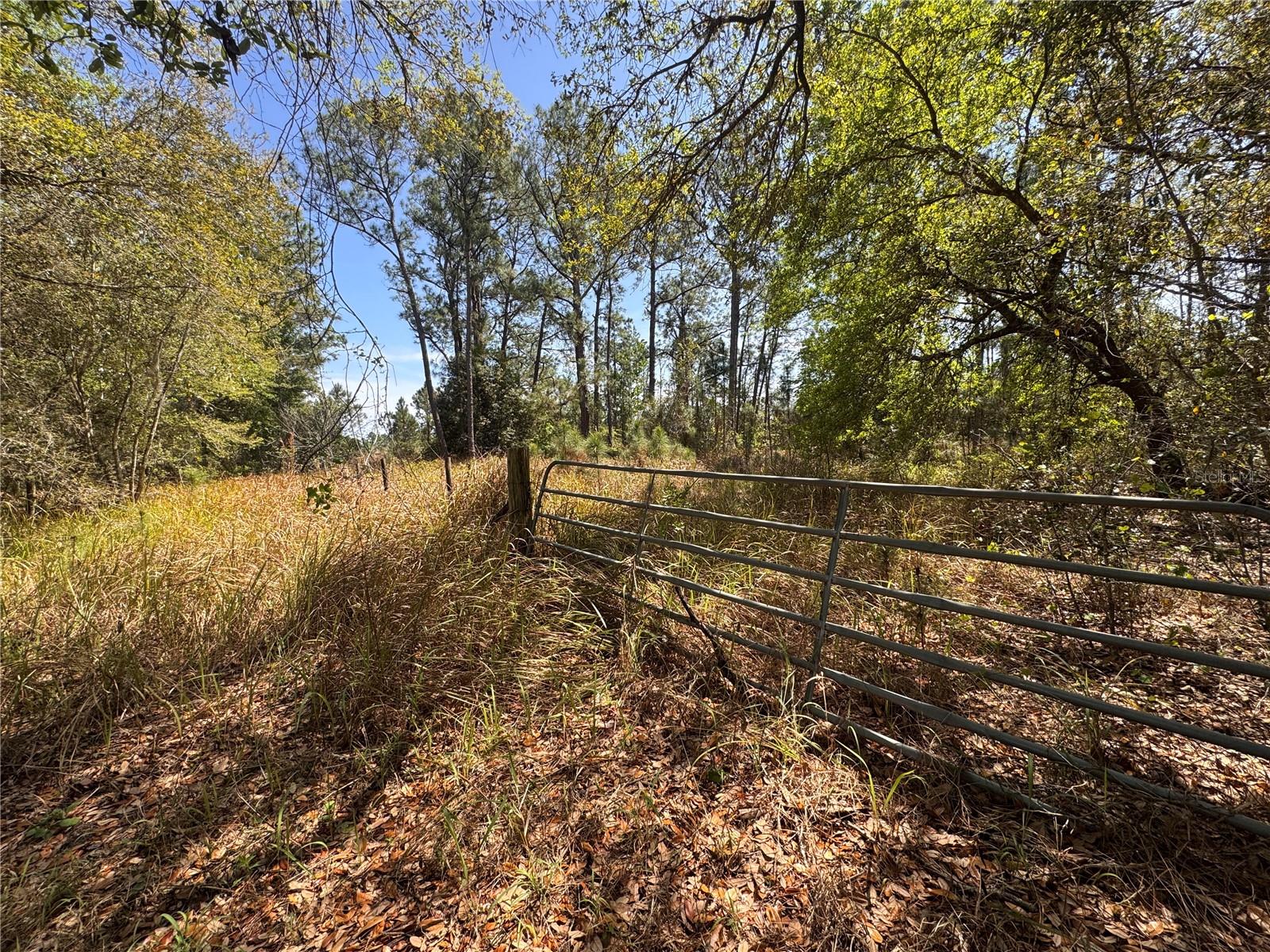 GROVELAND FARMS 04-23-25 - Land