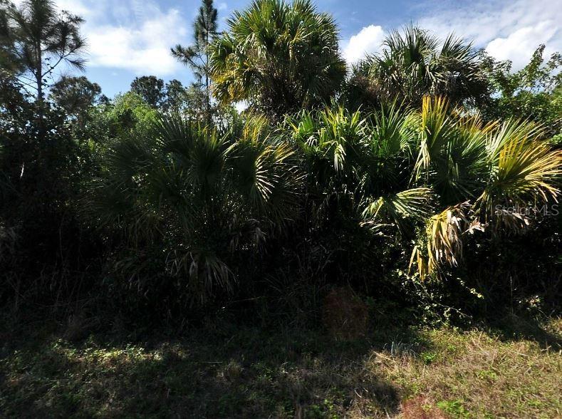 PORT CHARLOTTE SUB 47 - Land