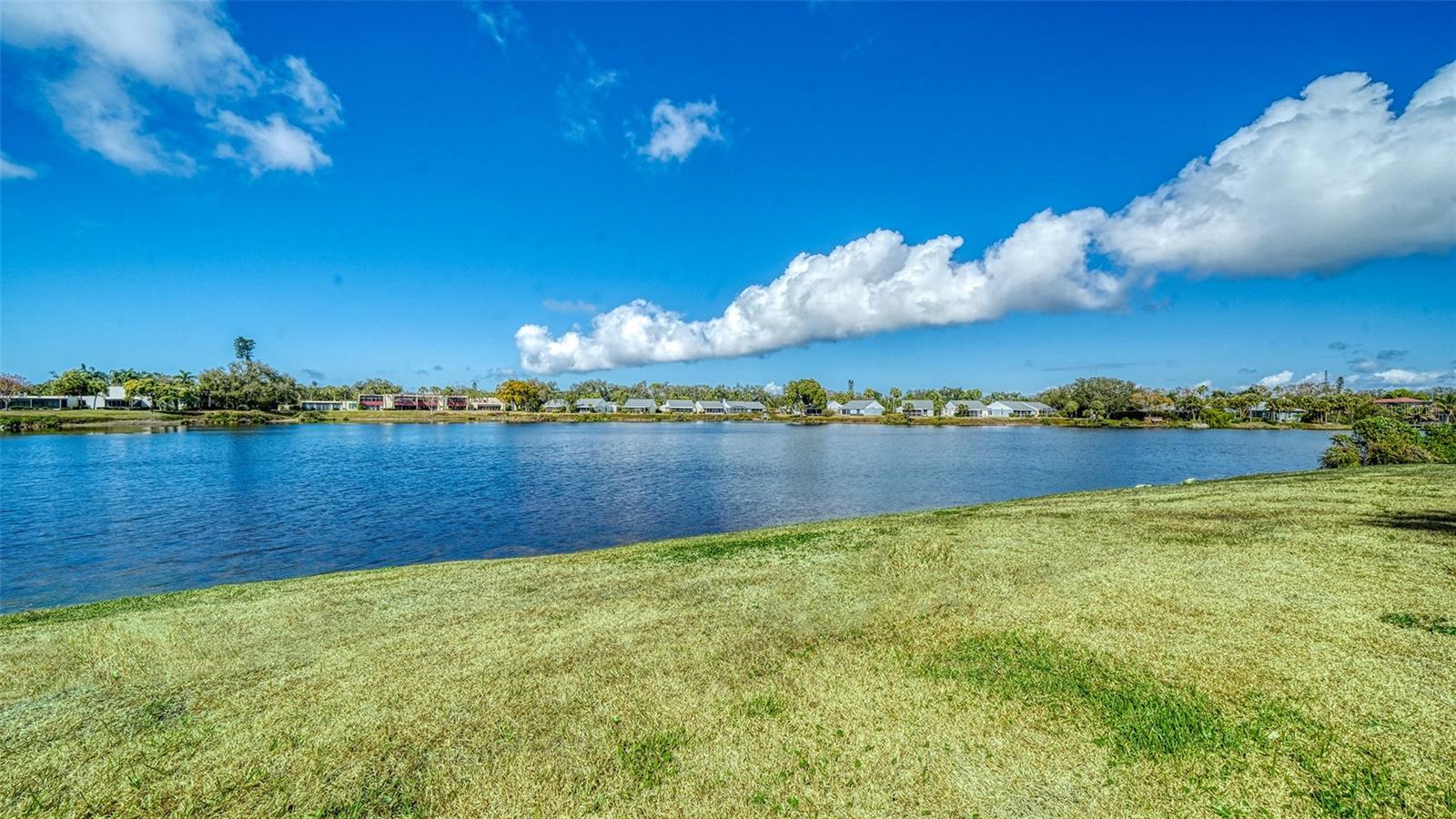 WILDEWOOD SPGS II-C - Residential