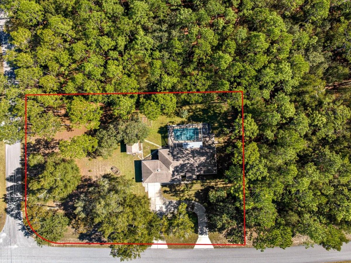 RAINBOW SPRINGS - THE FOREST - Residential