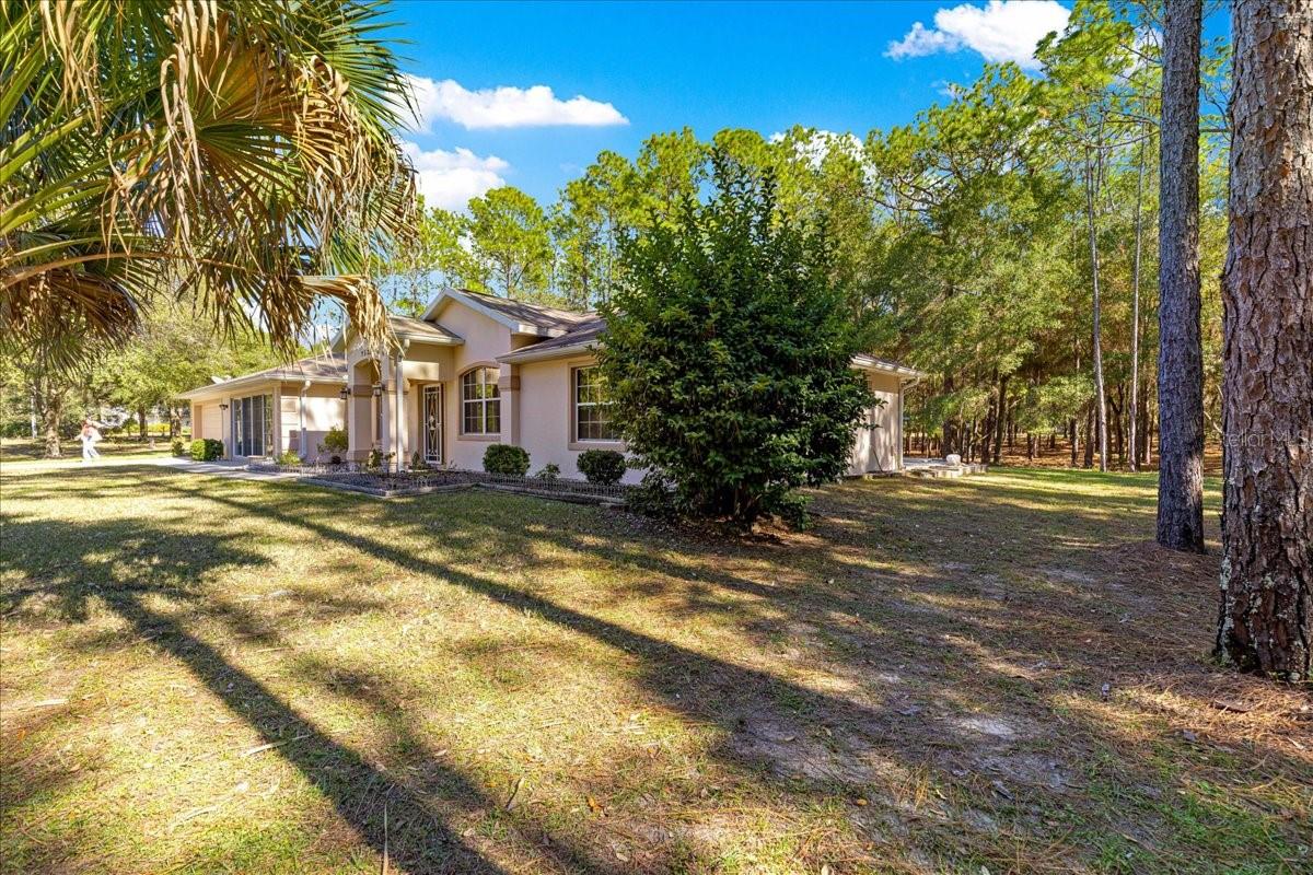 RAINBOW SPRINGS - THE FOREST - Residential