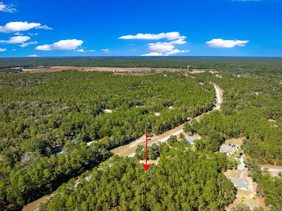 RAINBOW SPRINGS - THE FOREST - Residential