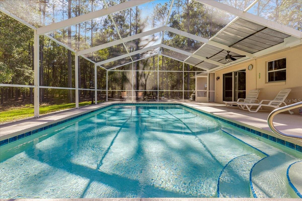 RAINBOW SPRINGS - THE FOREST - Residential