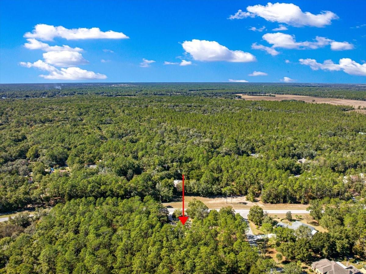 RAINBOW SPRINGS - THE FOREST - Residential