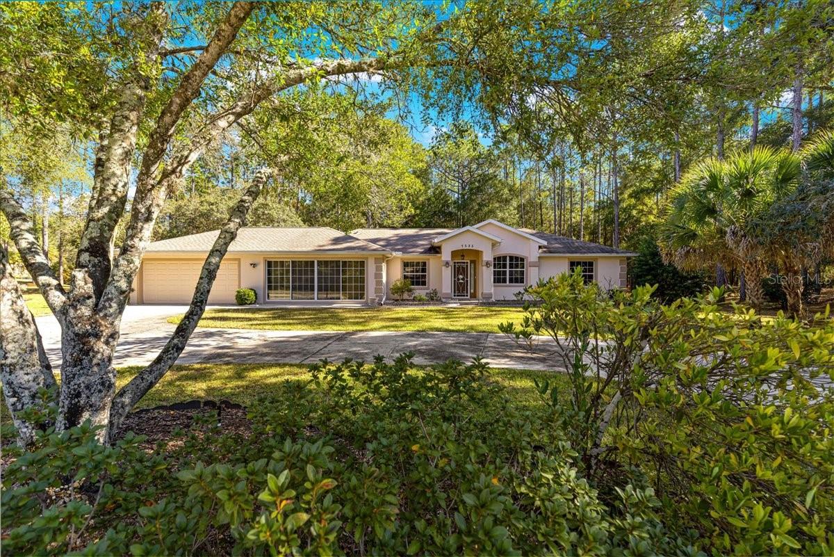 RAINBOW SPRINGS - THE FOREST - Residential