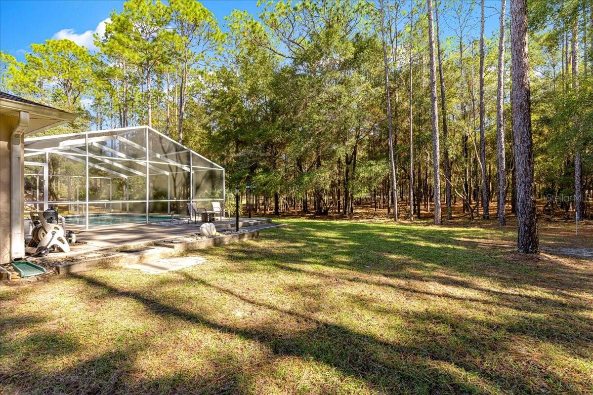 RAINBOW SPRINGS - THE FOREST - Residential