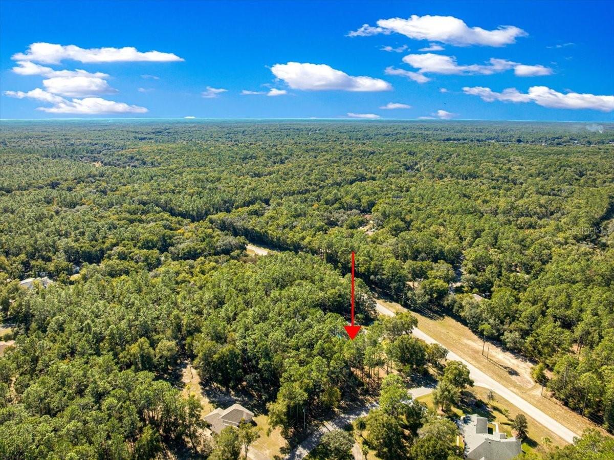 RAINBOW SPRINGS - THE FOREST - Residential