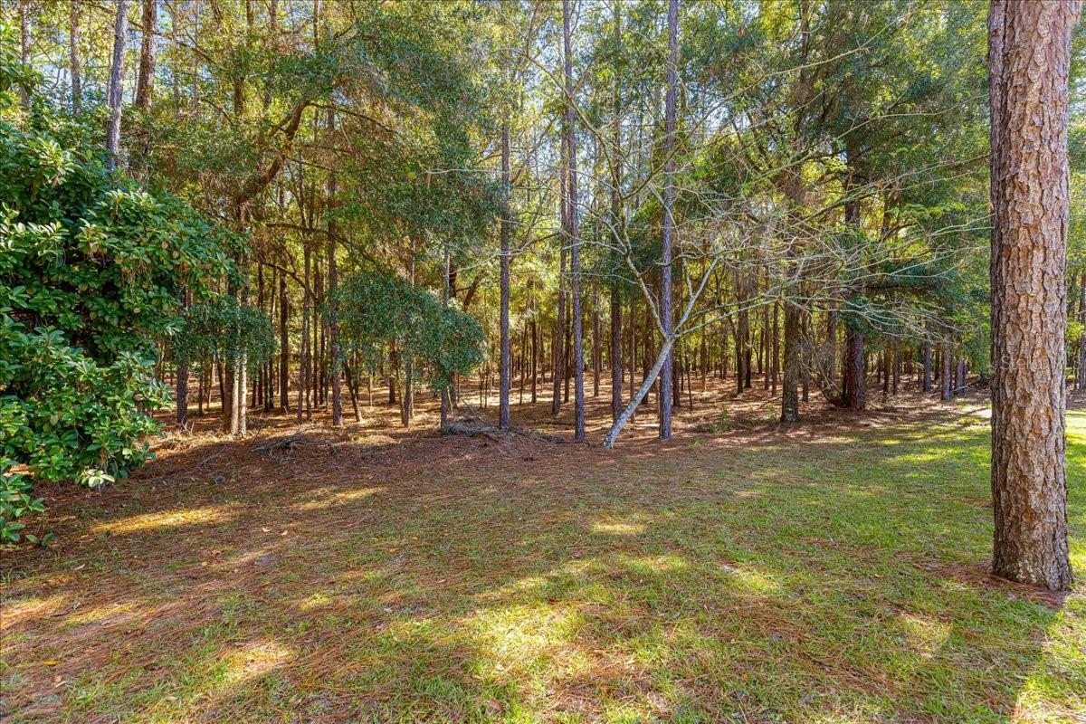 RAINBOW SPRINGS - THE FOREST - Residential